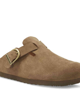 GINA CLOG